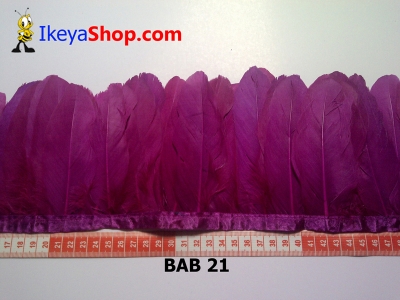 Bulu angsa BAB 21   feather  large2